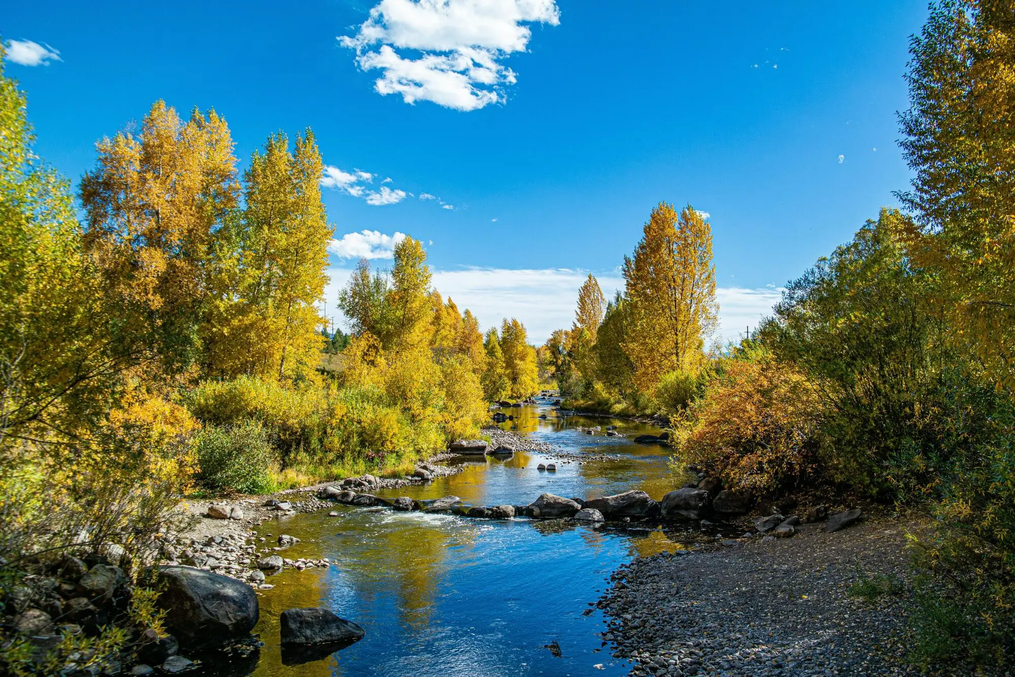 Fall and Winter Vacation Rental Tips: Cozy Retreats for Every Season in Steamboat Springs, CO